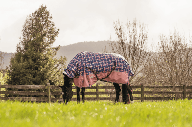 Is My Horse Too Hot Or Too Cold Under His Horse Rugs?
