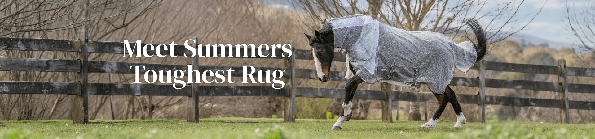 Meet Summers Toughest Rug; New Armour Mesh Rug