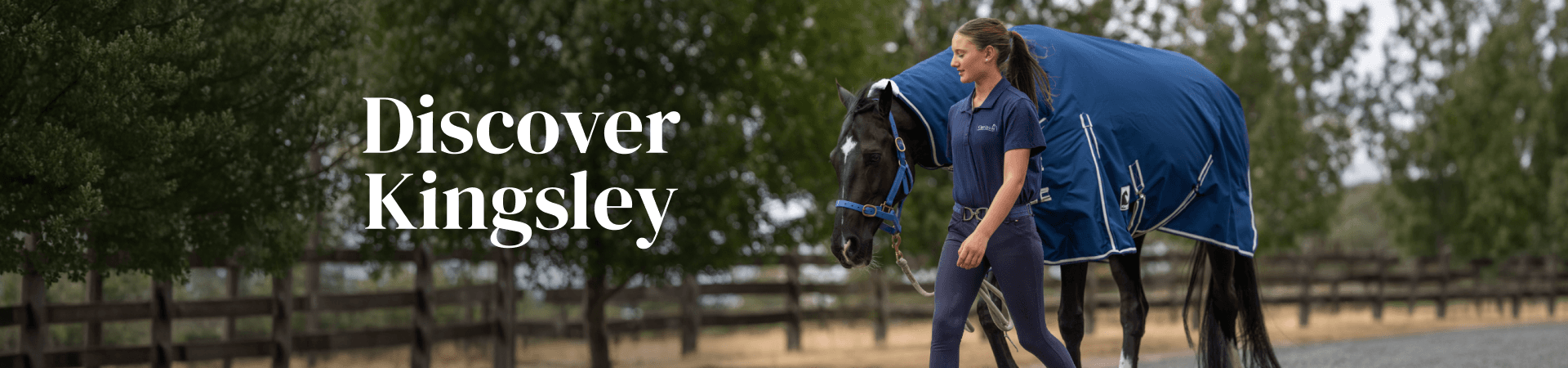 Discover Kingsley