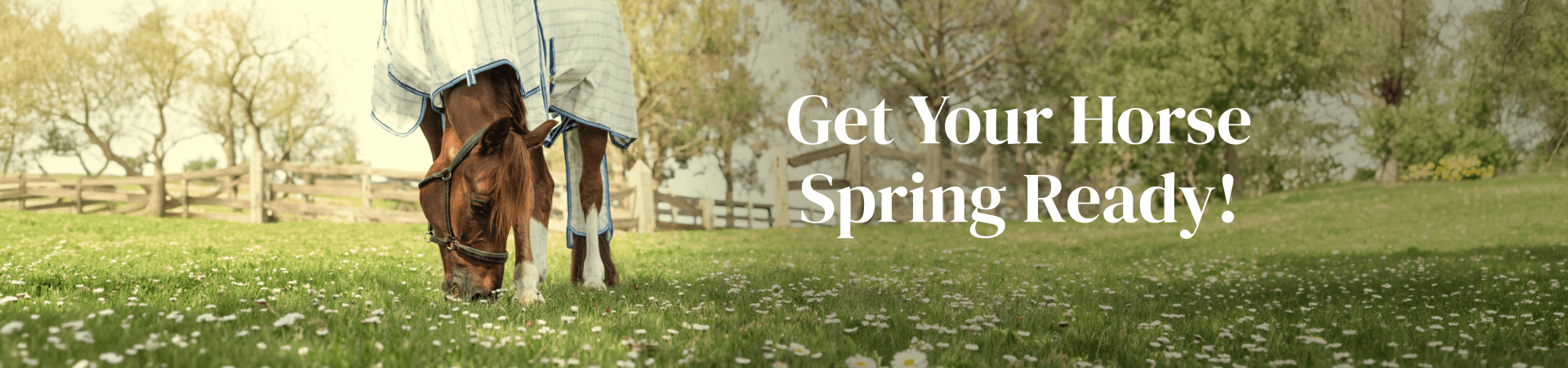 Get Your Horse Spring Ready!