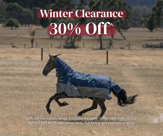 Winter Clearance 30% Off
