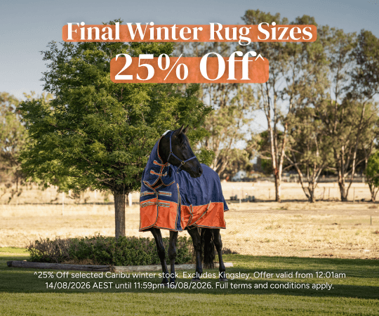 Final Winter Rug Sizes 25% Off
