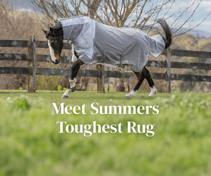 Meet Summers Toughest Rug; New Armour Mesh Rug