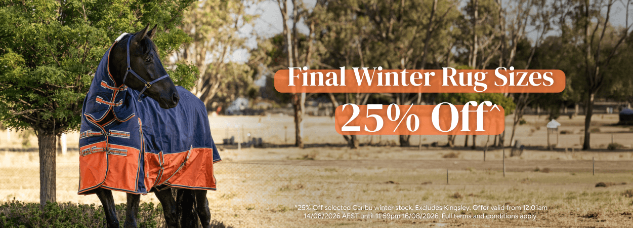 Final Winter Rug Sizes 25% Off
