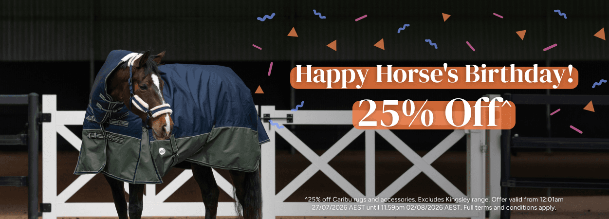 Happy Horse's Birthday! 25% Off
