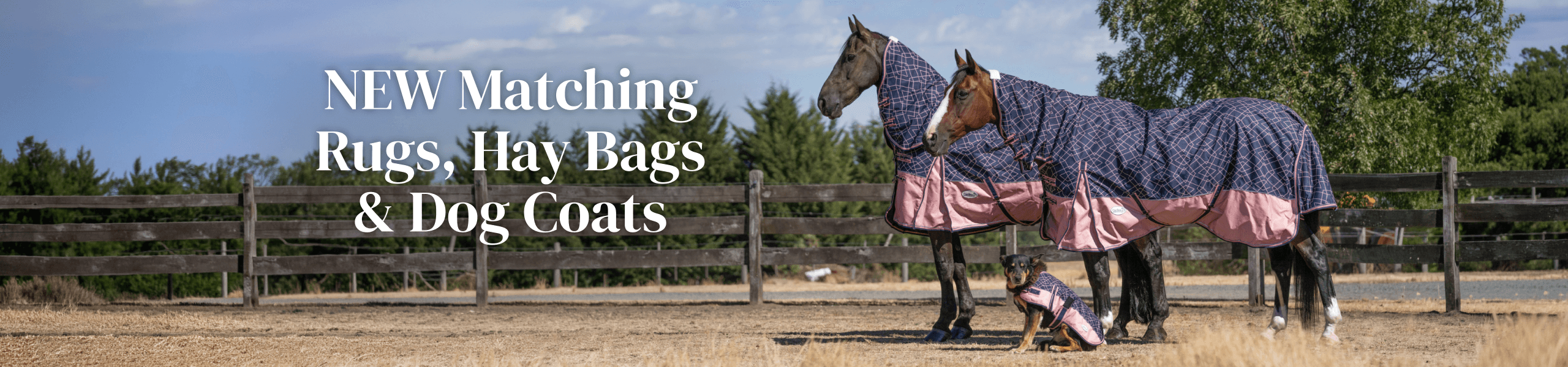 NEW Matching Rugs, Hay Bags & Dog Coats