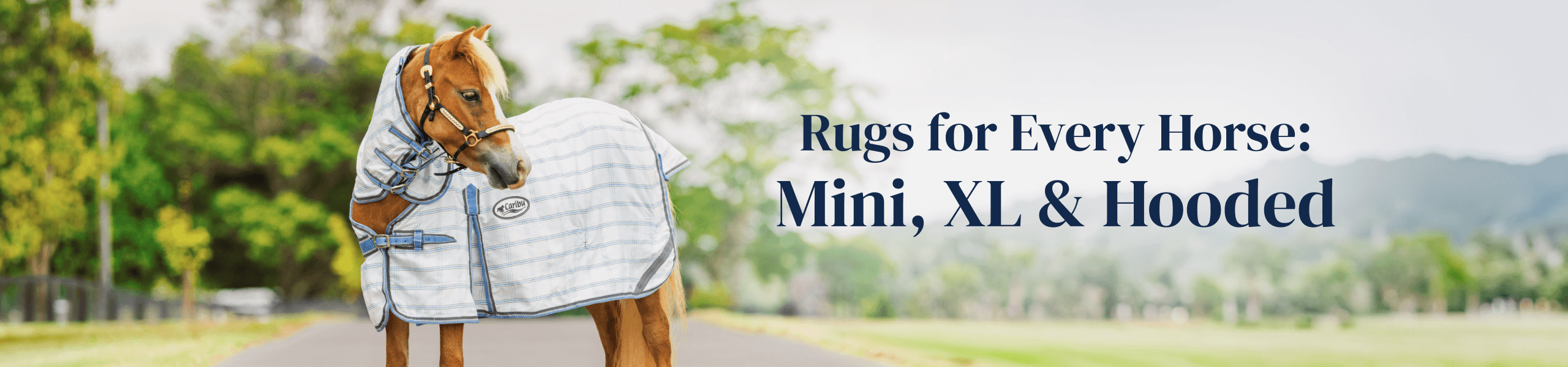 Rugs for every horse: Mini, XL & Hooded