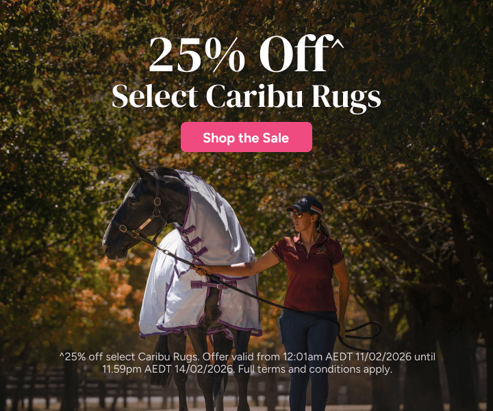 25% Off Select Caribu Rugs | Shop the Sale