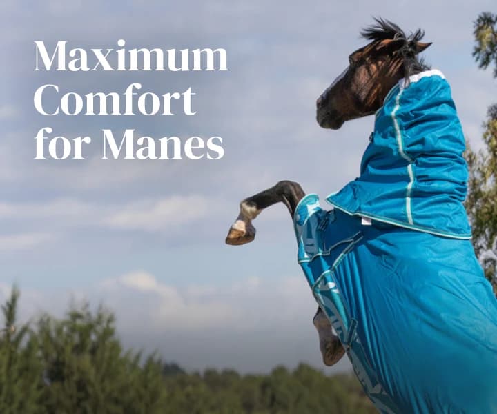 Maximum Comfort for Manes