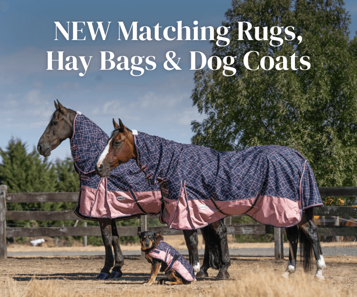 NEW Matching Rugs, Hay Bags & Dog Coats