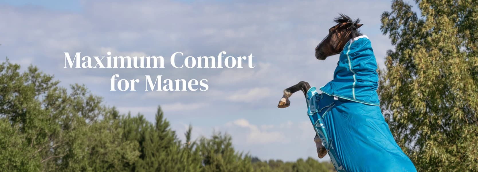 Maximum Comfort for Manes