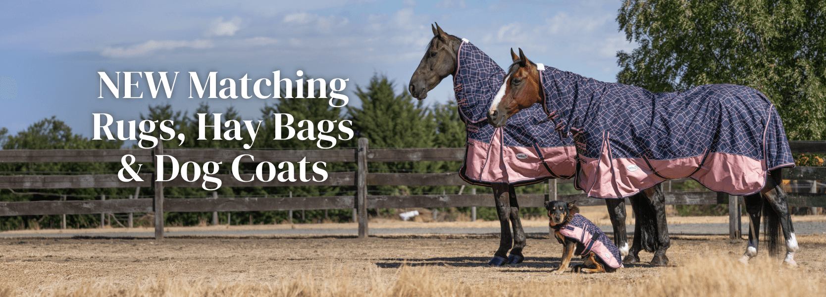 NEW Matching Rugs, Hay Bags & Dog Coats