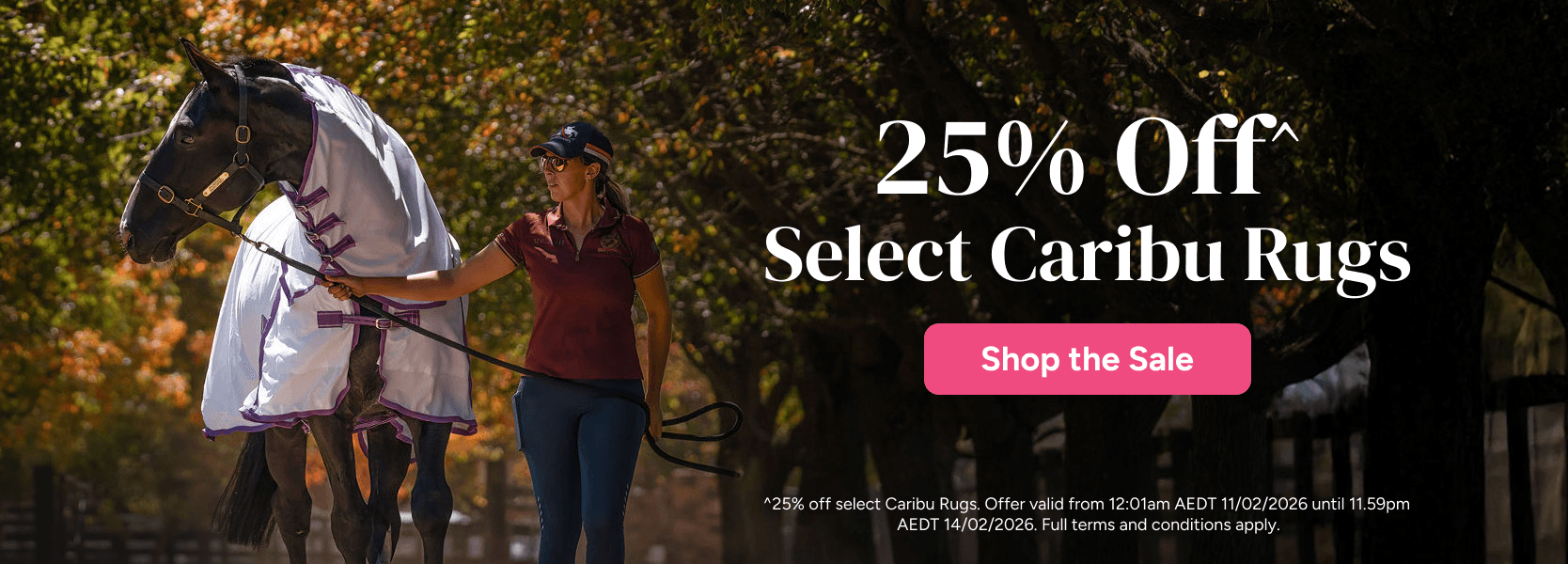 25% Off Select Caribu Rugs | Shop the Sale