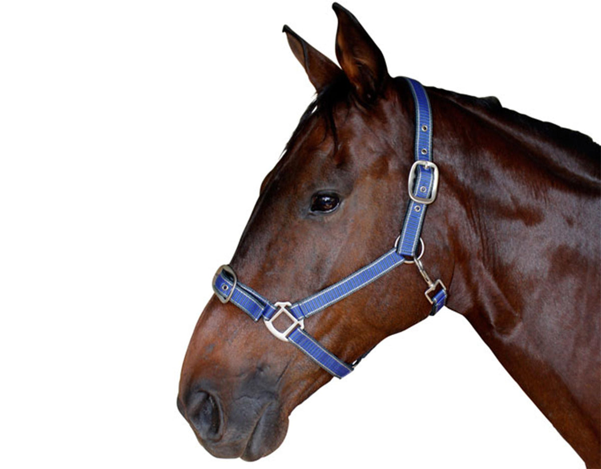 Quick Release Horse Halter Caribu Horse Wear