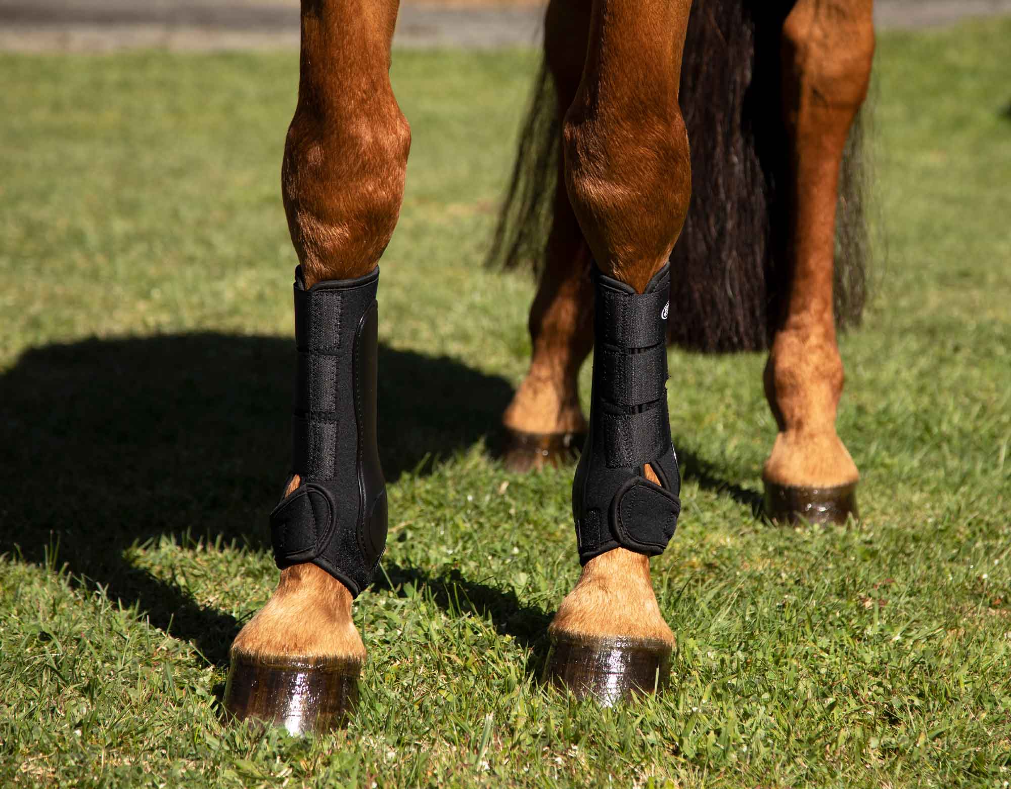 Genesis Tendon Boots with Hook & Loop Fixings | Caribu Horse Wear